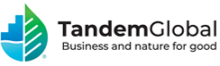 Tandem Global